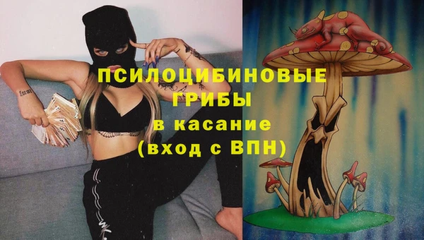 стафф Алзамай