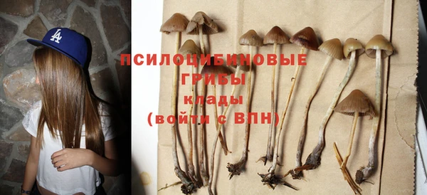 кокс Абаза