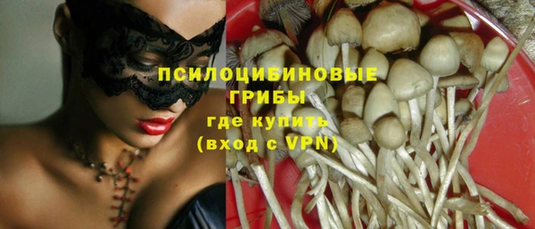 spice Алексин